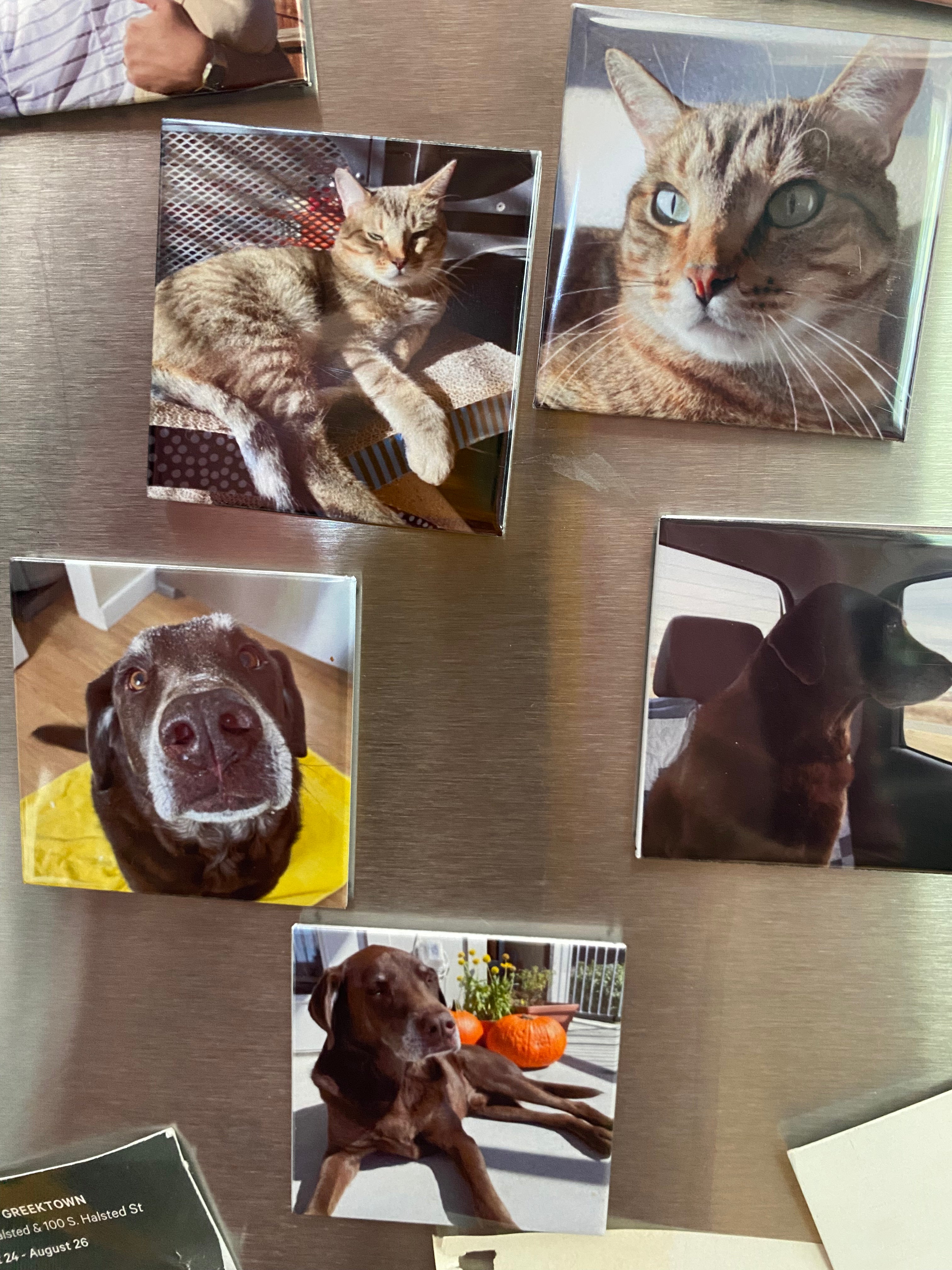 2"x2" Custom Photo Magnets